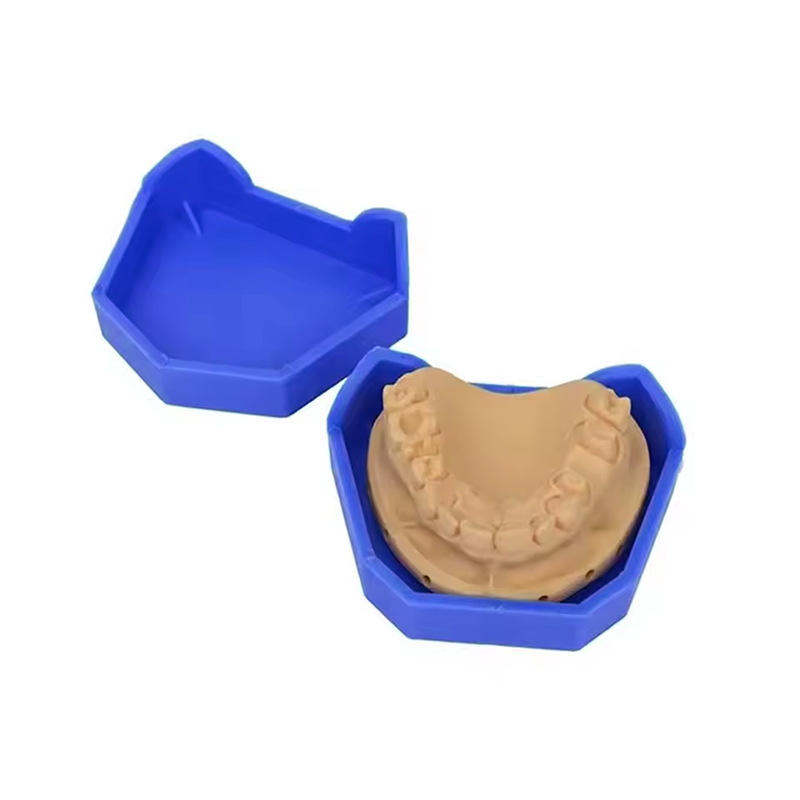 2/6Pcs Dental Model Base Silic - Teeth Whitening Tray ulasan dan harga