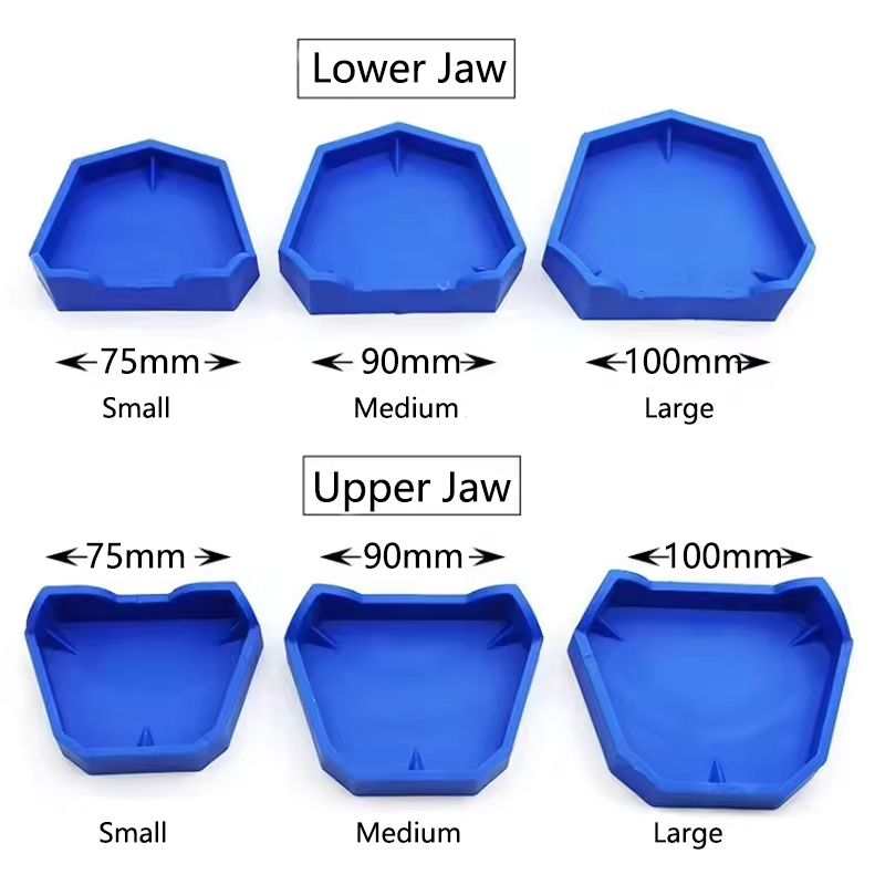 2/6Pcs Dental Model Base Silic - Teeth Whitening Tray ulasan dan harga