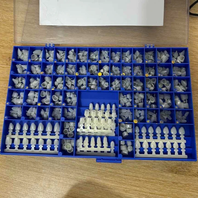 Dental Premolar Molars Anterio - Teeth Whitening Moulds ulasan dan harga