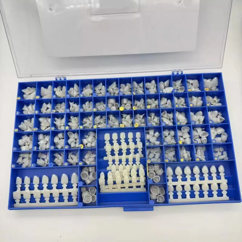 Dental Premolar Molars Anterio - Teeth Whitening Moulds ulasan dan harga