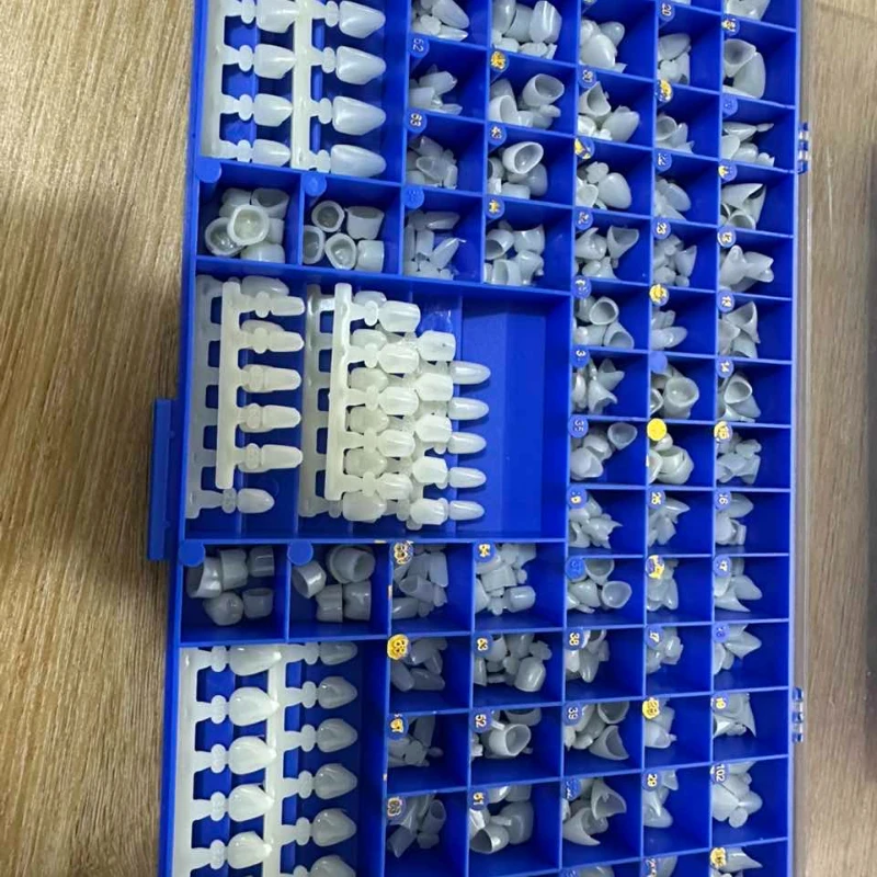 Dental Premolar Molars Anterio - Teeth Whitening Moulds ulasan dan harga