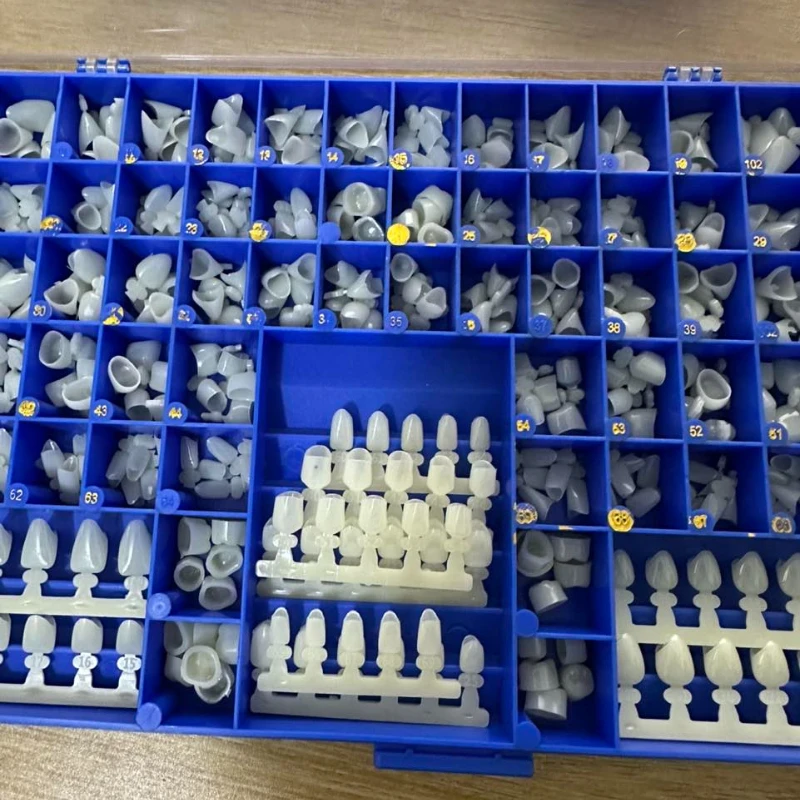 Dental Premolar Molars Anterio - Teeth Whitening Moulds ulasan dan harga