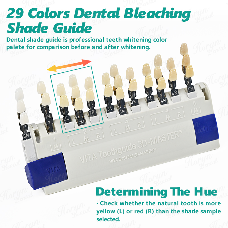 Vita 3D Master Dental Lab Blea - Teeth Whitening Gel For Trays ulasan dan harga